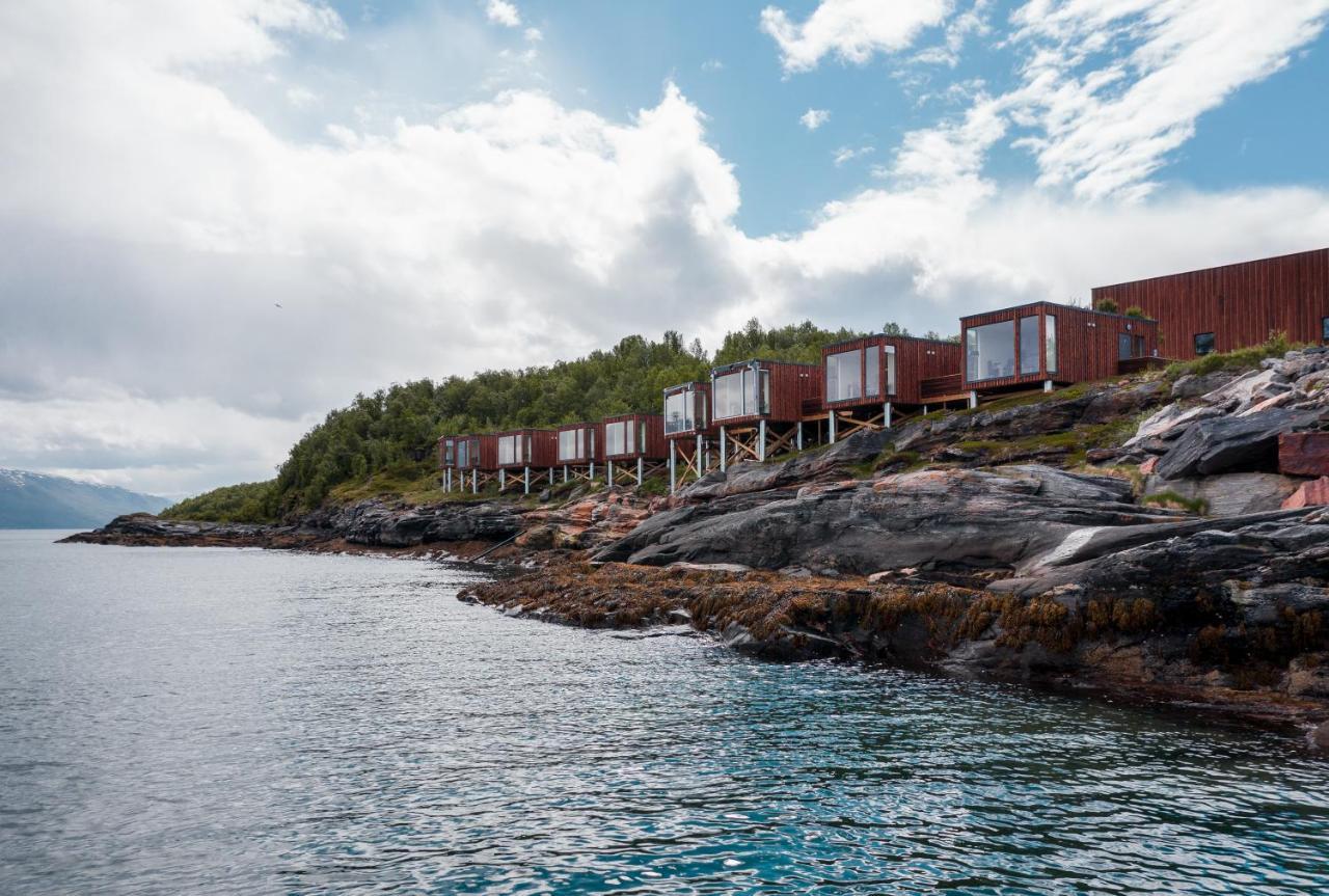 Aurora Fjord Cabins Lyngseidet Zewnętrze zdjęcie