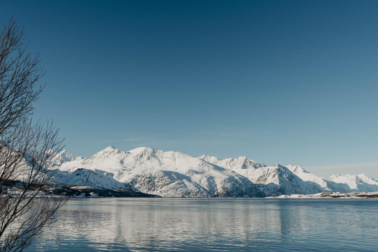Aurora Fjord Cabins Lyngseidet Zewnętrze zdjęcie